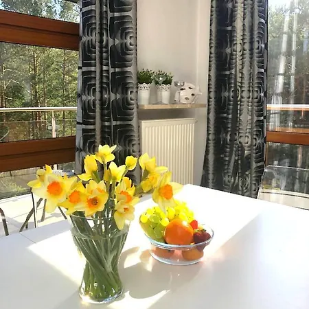 Willa 4 żywioły - Penthouse - Twojajurata